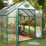Easy Grow Plus - Green_image