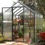 Easy Grow - Green_image
